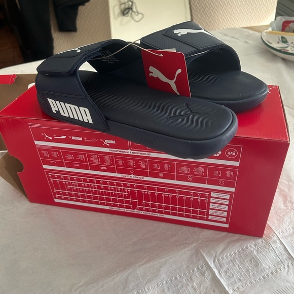 Puma Other - Puma Starcat Tech slides